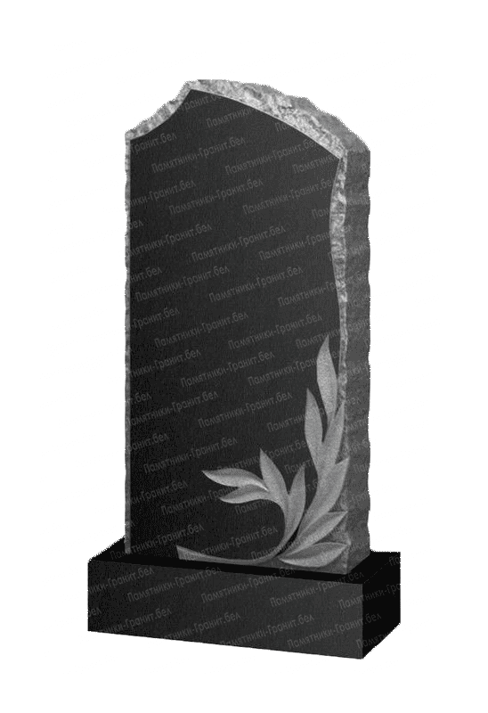 Двойные памятники в Сморгонь на могилу фото